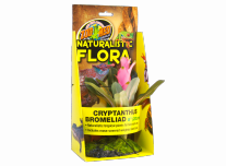 Cryptanthus Bromeliad – Természethű flóra