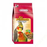 VERSELE LAGA Big Parakeet