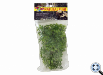 Cannabis - Természetes növényzet (közepes)