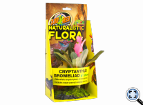 Cryptanthus Bromeliad – Természethű flóra